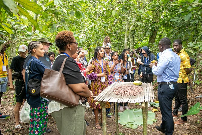 Boti Falls, Botanic Gardens, Cocoa Fam, Umbrella Rock Experience - Aburi Botanical Gardens beyond the palm walk