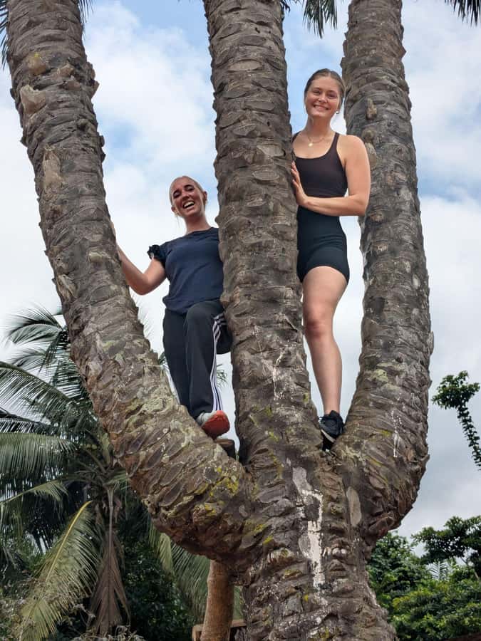 Boti Falls, Umbrella Rock, Aburi Gardens & Cocoa Farm Tour - Key points to know before you go