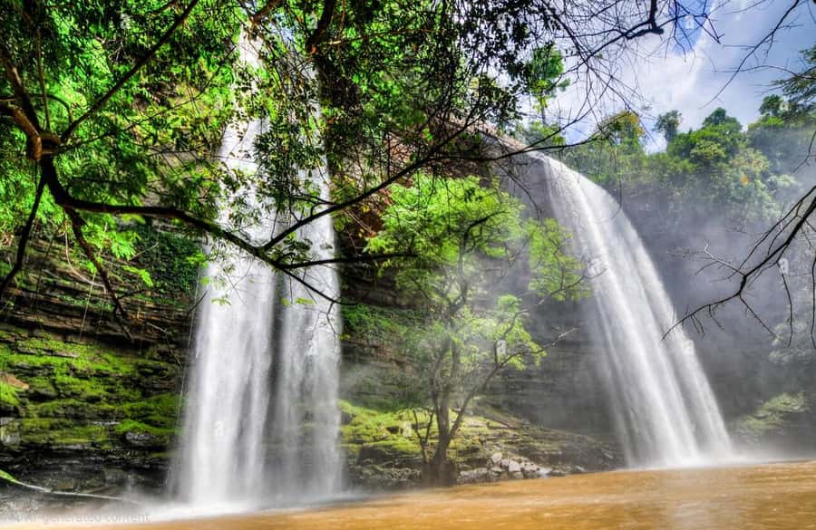 Boti Falls, Umbrella Rock, Aburi Gardens & Cocoa Farm Tour - From Accra traffic to the cool hills of Aburi