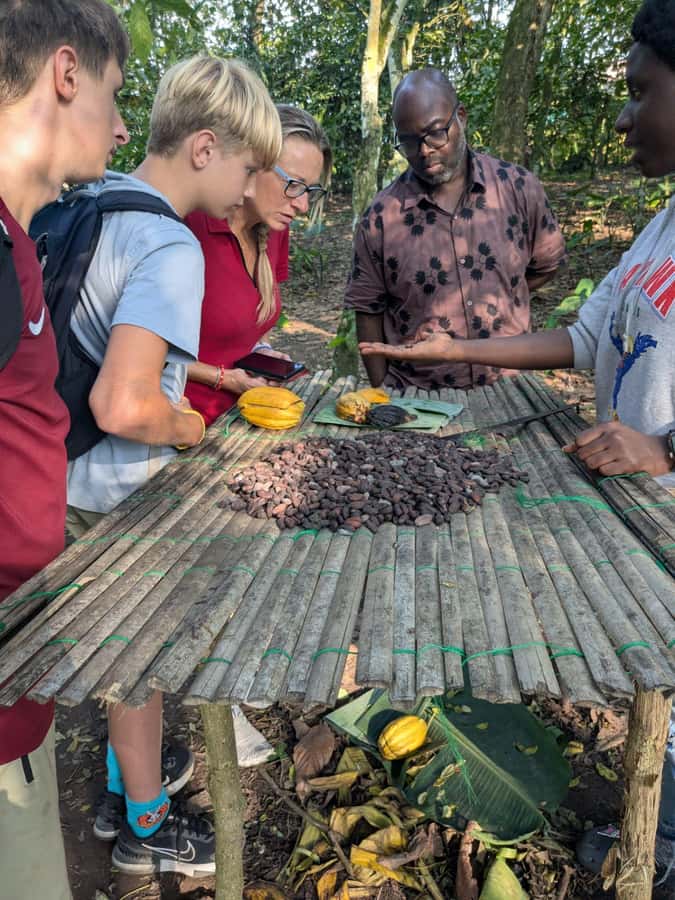 Boti Falls, Umbrella Rock, Aburi Gardens & Cocoa Farm Tour - Hiking to Boti Falls and the three-headed palm tree