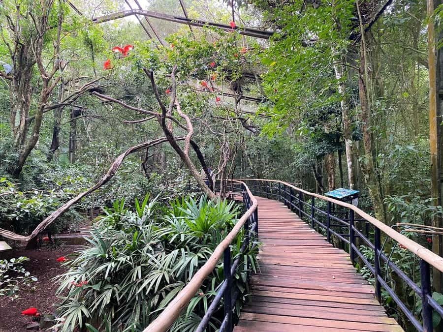 Brazilian Falls, Bird Park and Itaipu Dam - What to bring and what to expect