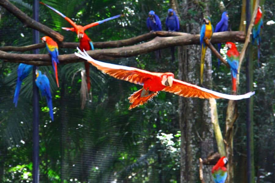 Brazilian Falls, Bird Park and Itaipu Dam - Starting with Itaipu Dam