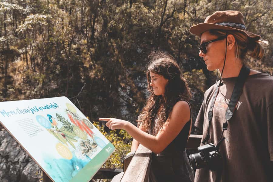 Brisbane: Rainforests, Waterfalls and Glow Worm Cave Tour - Is the $133 price good value?