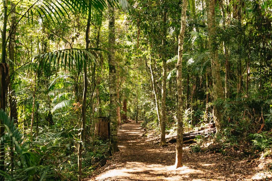 Brisbane: Rainforests, Waterfalls and Glow Worm Cave Tour - Hang Glider Lookout and the Scenic Rim