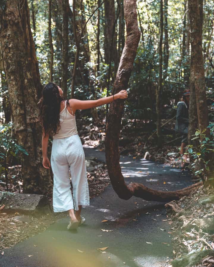 Brisbane: Rainforests, Waterfalls and Glow Worm Cave Tour - Gallery Walk gives you breathing room