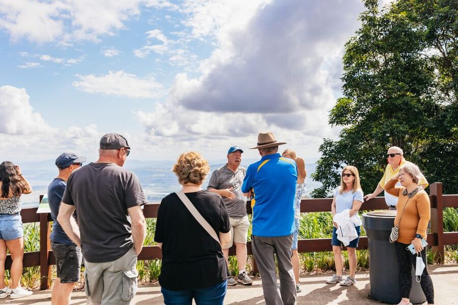 Brisbane: Rainforests, Waterfalls and Glow Worm Cave Tour - Through Numinbah Valley to Natural Bridge