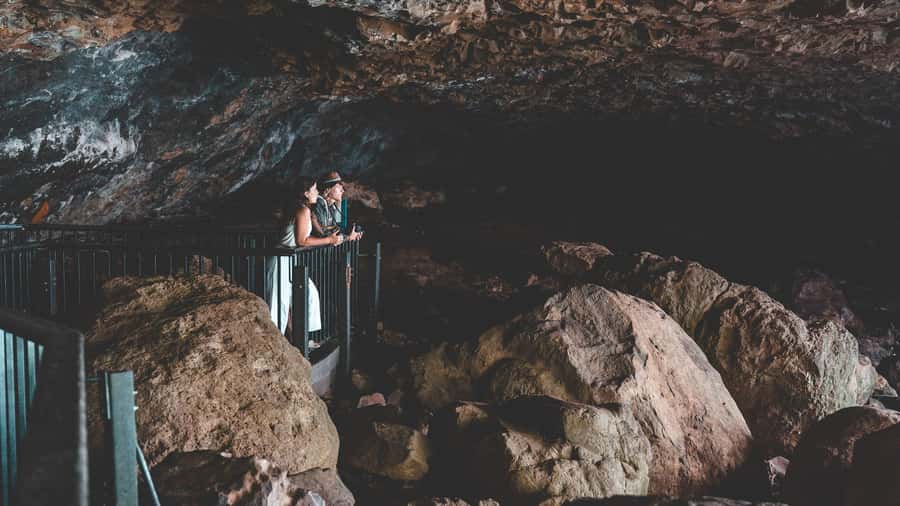 Brisbane: Rainforests, Waterfalls and Glow Worm Cave Tour - Curtis Falls, where the rainforest begins