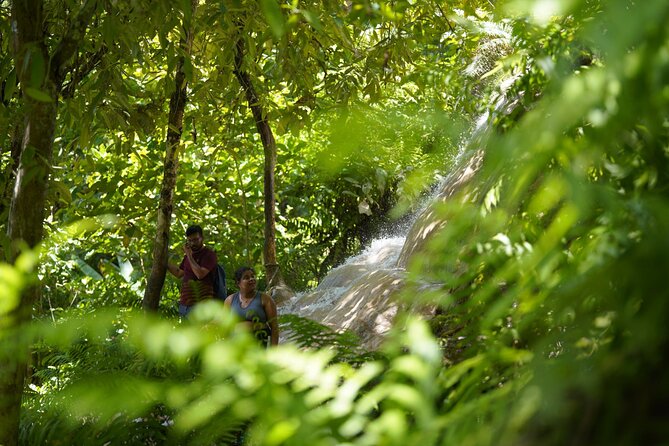 Bua Tong Waterfall Adventure& Huge Cave included Thai Buffet Tour - Is the $34.07 price good value?