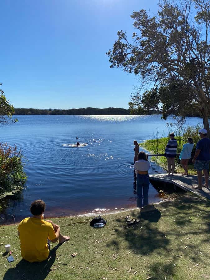 Byron Bay: Behind The Bay Waterfalls & Hidden Gems Day Tour - A six-hour escape from Byron Bay