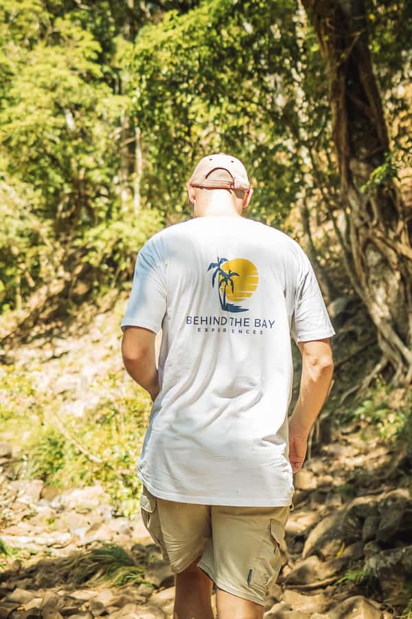 Byron Bay: Behind The Bay Waterfalls & Hidden Gems Day Tour - Should you book Behind The Bay?