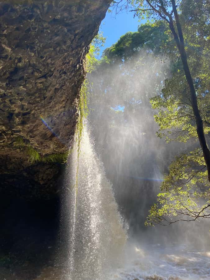 Byron Bay: Behind The Bay Waterfalls & Hidden Gems Day Tour - Killen Falls: the day’s best swim