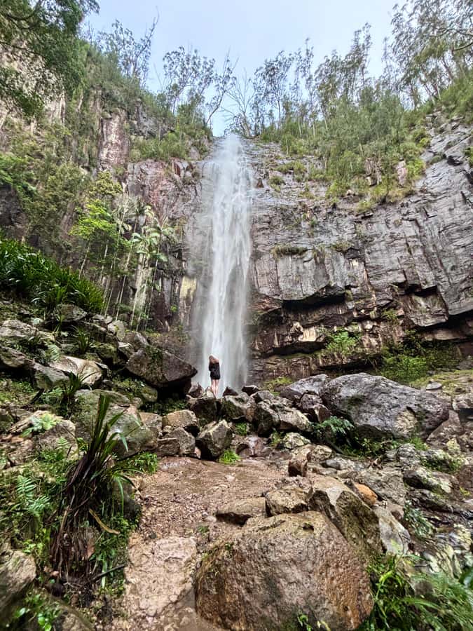 Byron Bay: Glowworms, Waterfalls & Rainforest Experience - From 80 Jonson Street to the Byron Hinterland