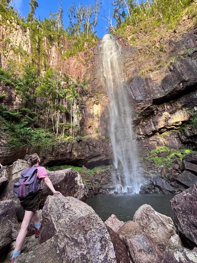 Byron Bay: Glowworms, Waterfalls & Rainforest Experience - Waterfalls, Forest Paths and a Possible Swim