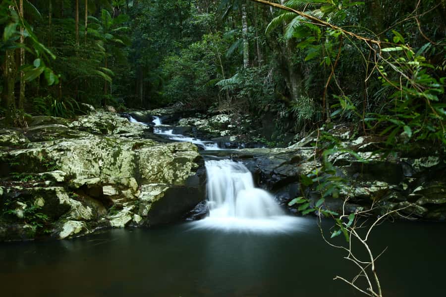 Byron Bay: Glowworms, Waterfalls & Rainforest Experience - What $91 Buys You