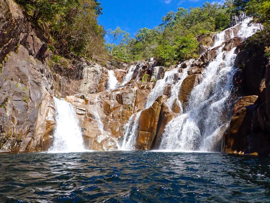 Cairns: Explorer Tour- Cairns Waterfalls - Cairns Botanic Gardens and the Red Arrow Walk