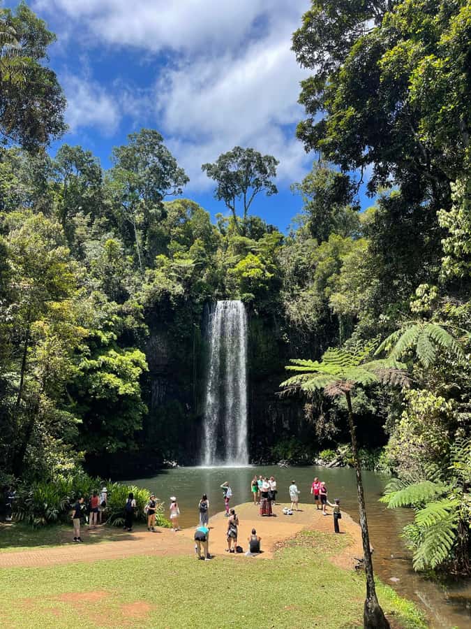 Cairns: Paronella, Lake Barrine & Millaa Millaa Falls Tour - What to bring for the changing conditions