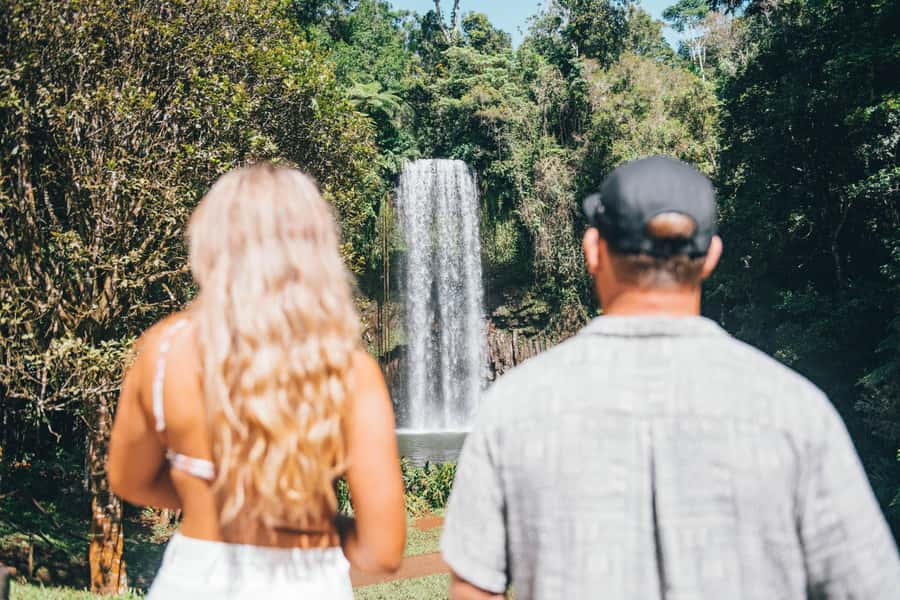 Cairns: Waterfall and Daintree Rainforest Tour - 2 Day Tours - Should you book these two Cairns day trips?
