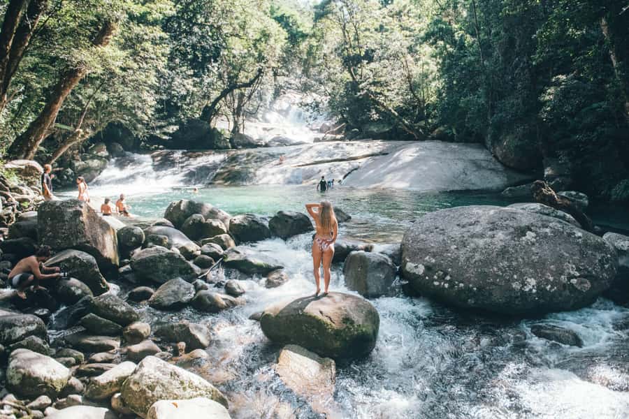 Cairns: Waterfall and Daintree Rainforest Tour - 2 Day Tours - Millaa Millaa Falls and the Atherton Tablelands