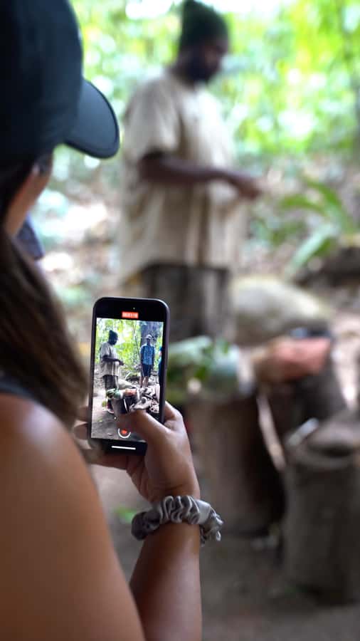 Cairns: Waterfall and Daintree Rainforest Tour - 2 Day Tours - Crocodiles, rainforest, and Cape Tribulation