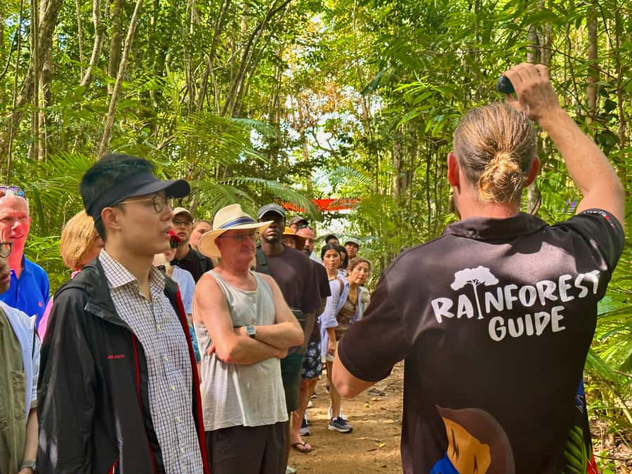 Cairns: Waterfall and Daintree Rainforest Tour - 2 Day Tours - Who will get the most from this tour?