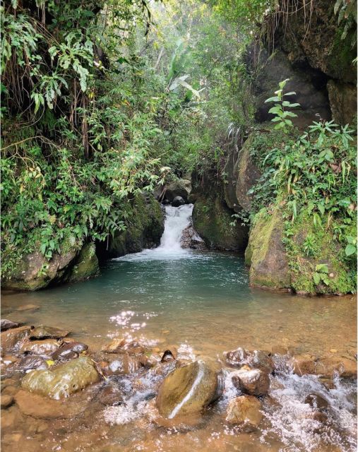 Cali: Cali River Waterfall and Great River Pools Tour - The return to the botanical garden