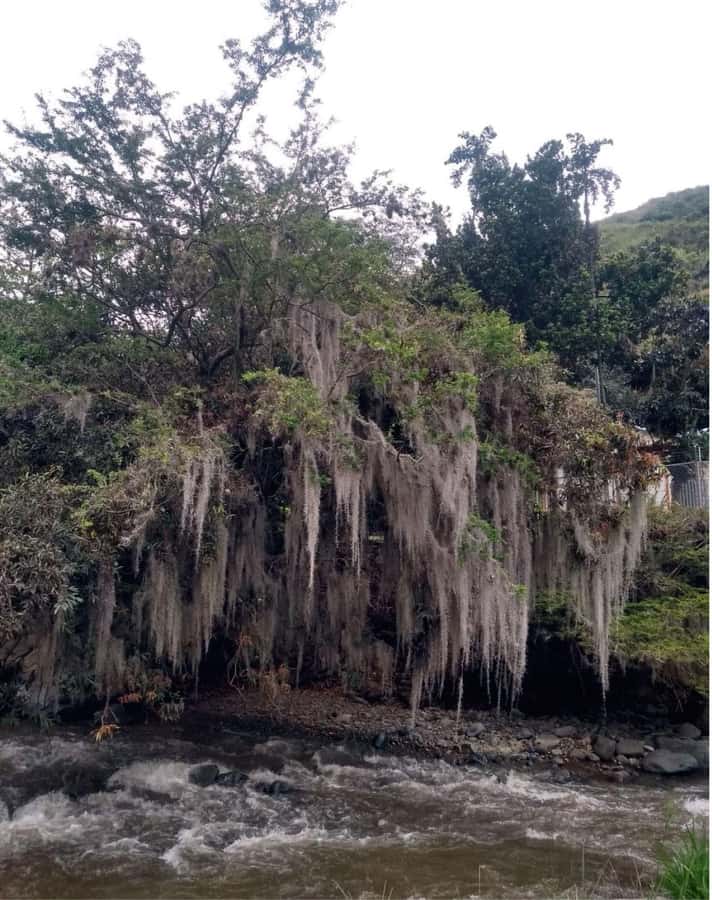 Cali: Cali River Waterfall and Great River Pools Tour - What to bring for the three hours