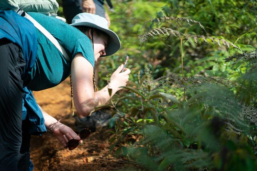 Cali: Hiking to the Pance waterfalls - What the $119 price really includes