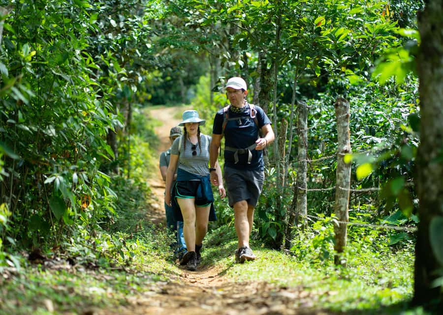 Cali: Hiking to the Pance waterfalls - Walking through Farallones habitat