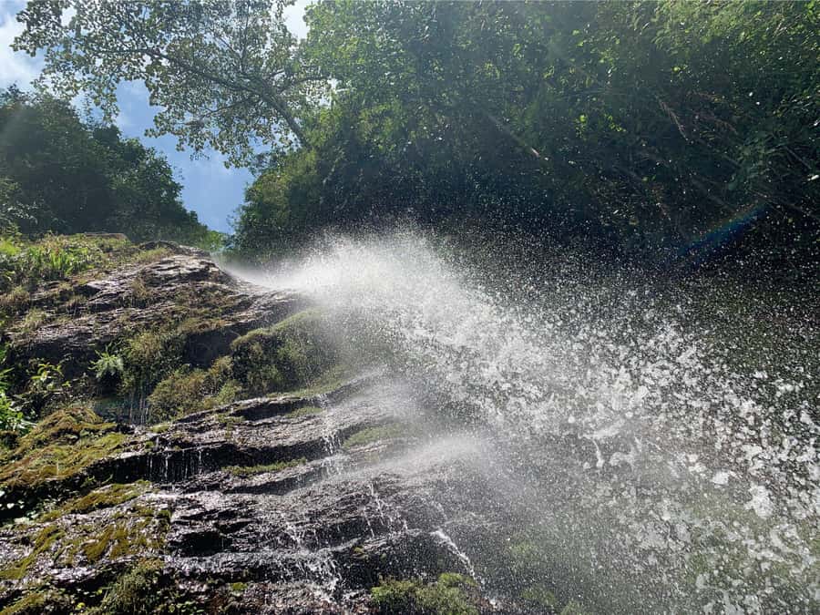 Cali: Tour of Waterfall in Pance River - Chorrera del Indio - Typical Food, Snacks, and a Flexible Lunch