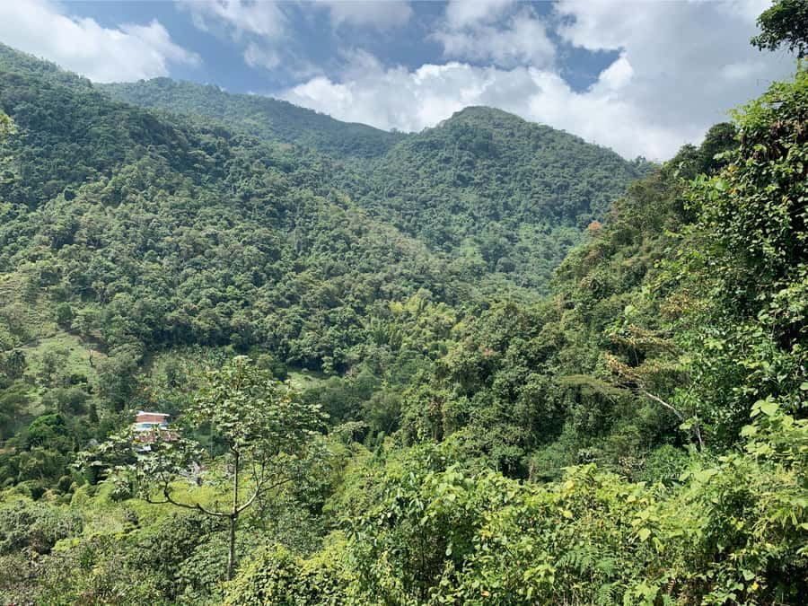 Cali: Tour of Waterfall in Pance River - Chorrera del Indio - What Mateo Adds to the Experience