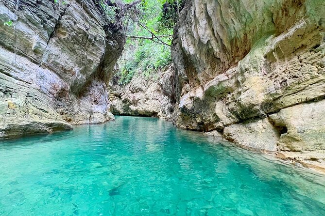 Canyoneering Cebu in Kawasan falls + meals + Cebu transfer option - Trek or pay for the zipline