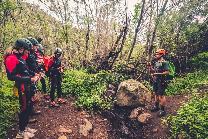 Canyoning with Waterfalls in the Rainforest - Small Groups ツ - Following the water through Gran Canaria’s forest