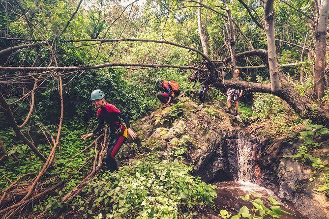 Canyoning with Waterfalls in the Rainforest - Small Groups ツ - Price, inclusions, and what to bring
