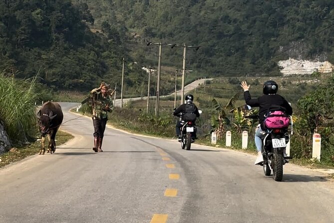 Cao Bang: Ban Gioc Waterfall Full-Day With Local Guide - Why Ban Gioc is worth the long day