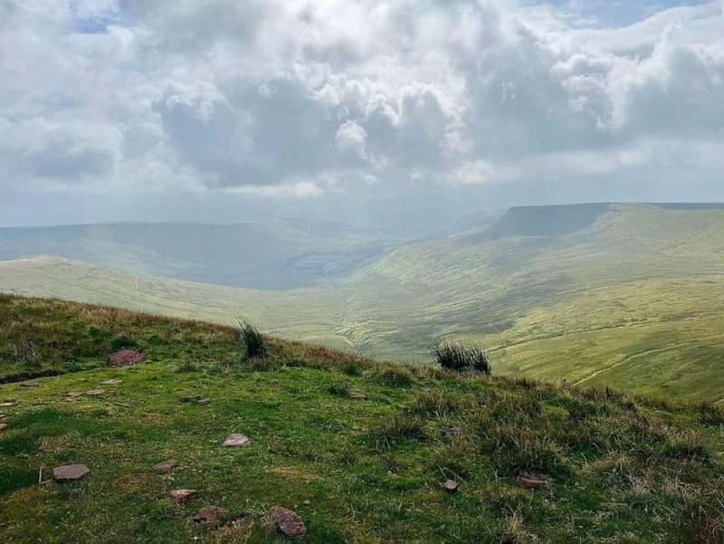 Cardiff: Waterfalls, Mountains & Castles Day Tour - A 3,000-year-old yew tree
