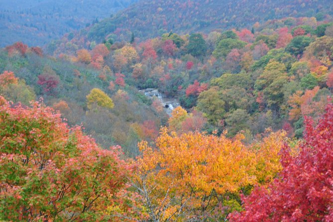 Carolina Waterfalls and Highlands Private VIP Boutique Tour - Bridal Veil Falls takes only five minutes