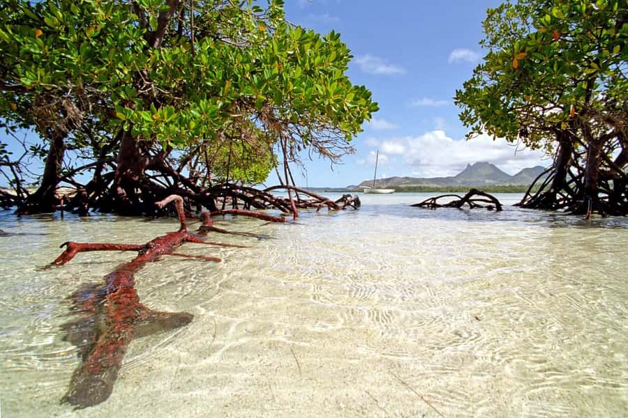 Catamaran Trip to Ile au Cerfs with Lunch and GRSE waterfall - What the $69 price includes