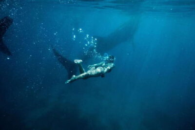 Cebu City: Whale Shark Swimming & Kawasan Falls Canyoneering