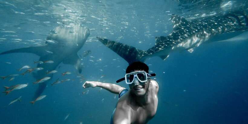 Cebu City: Whale Shark Swimming & Kawasan Falls Canyoneering - Practical preparation for a better day