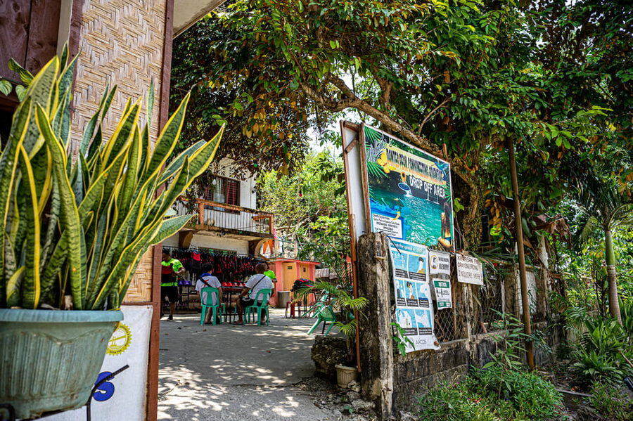 Cebu: Kawasan Canyoning, Moalboal Snorkeling, & Turtles Tour - Kawasan canyoning: slides, jumps, and river rock