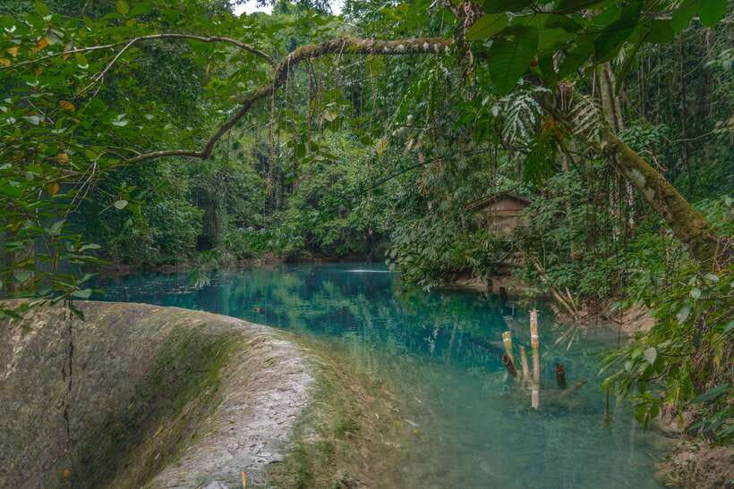 Cebu: Kawasan Falls Canyoneering & Cliff Jump Private Tour - The three-hour canyon route