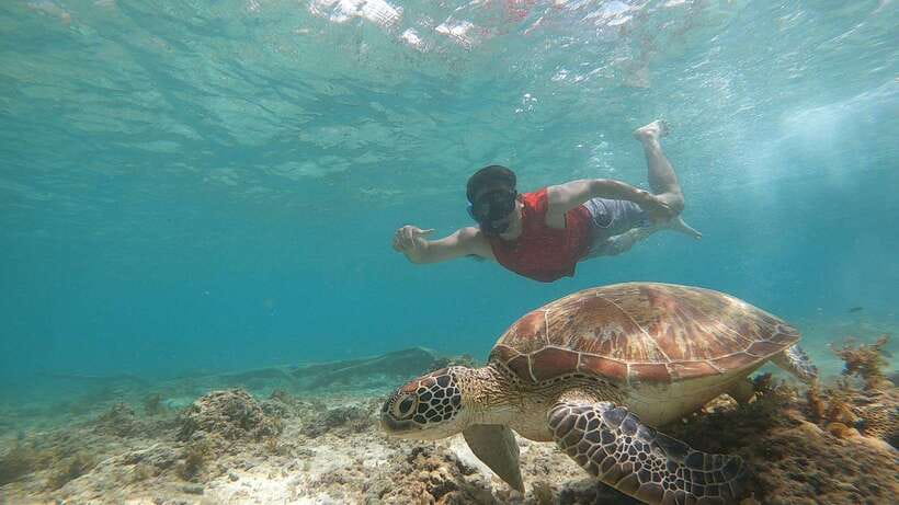 Cebu: Moalboal Island Hopping and Mantayupan Falls Day Trip - FAQ