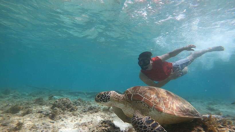 Cebu: Moalboal Island Hopping and Mantayupan Falls Day Trip - Is $112 a fair price?