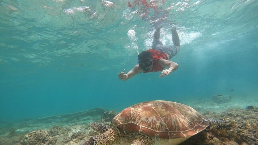 Cebu: Moalboal Island Hopping and Mantayupan Falls Day Trip - Who should book this Cebu day trip?