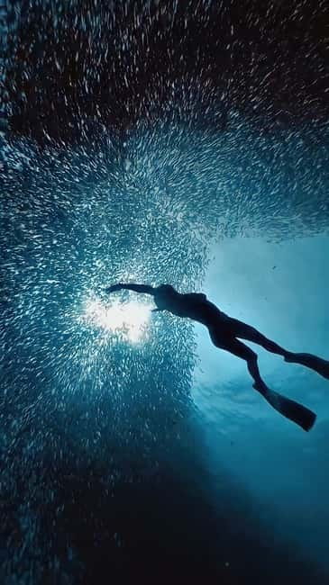 Cebu: Moalboal Sardine Run & Kawasan Falls Canyoneering - Quick takeaways for your South Cebu day