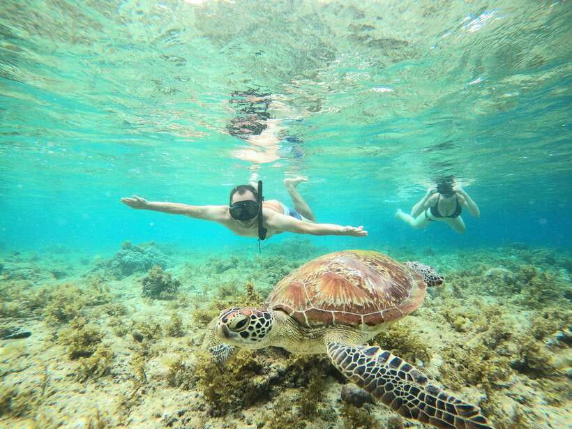 Cebu: Moalboal Sardines Run Snorkel & Kawasan Canyoneering - Moalboal and the silver sardine run