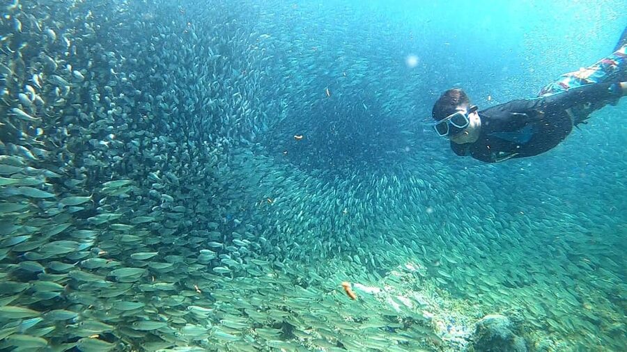 Cebu: Moalboal Snorkeling, Mantayupan Falls & ATV Adventure - Barili ATV ride through country roads