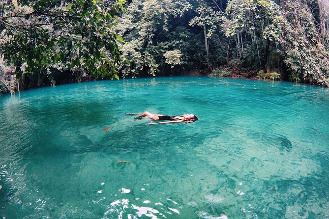 Cebu: Oslob Whale Shark Swimming and Kawasan Falls Canyoneering - The long day: timing, transport, and group size