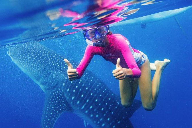 Cebu: Oslob Whale Shark Swimming and Kawasan Falls Canyoneering - From Oslob to Badian and Kawasan Falls