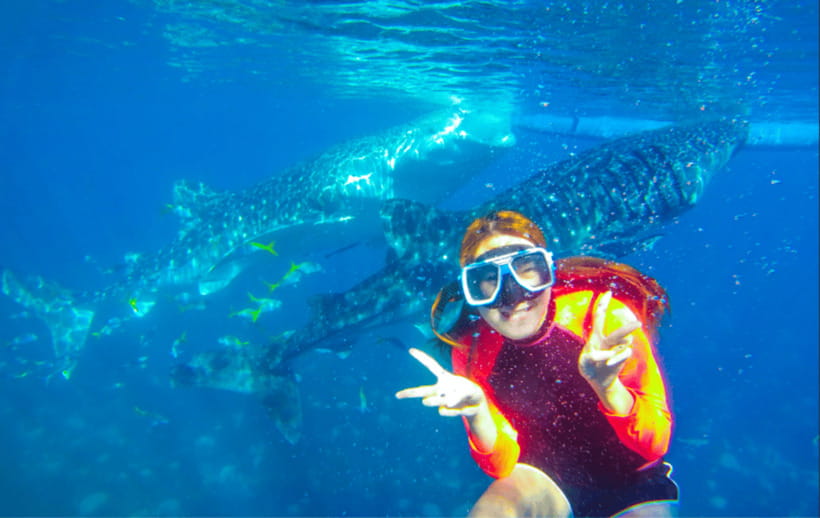 Cebu: Oslob Whale Shark Swimming and Tumalog Falls Tour - Lunch and the long road back to Cebu